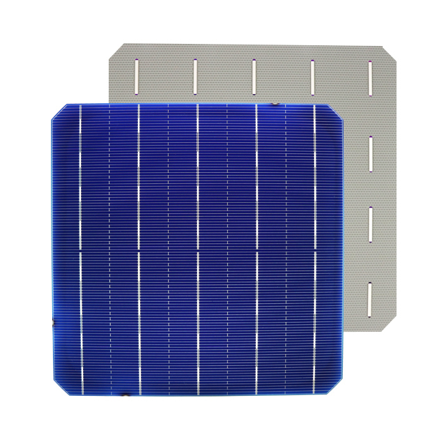 Solar cells-poly-5BB